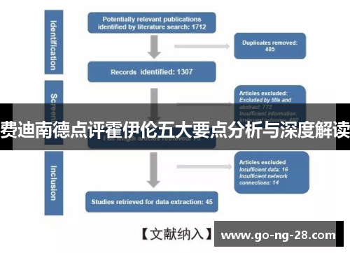 费迪南德点评霍伊伦五大要点分析与深度解读