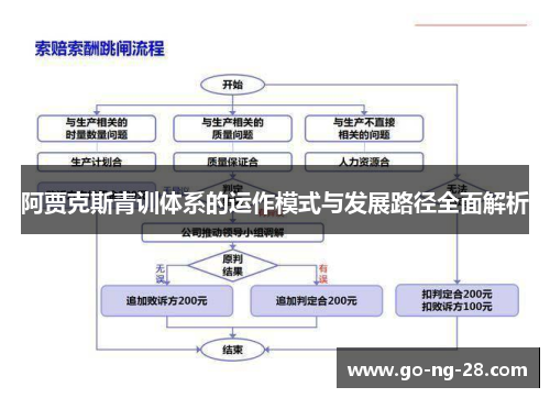 阿贾克斯青训体系的运作模式与发展路径全面解析