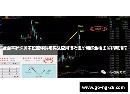 全面掌握坎贝尔位置详解与实战应用技巧进阶训练全程图解精编指南 全面掌握坎贝尔位置详解与实战应用技巧进阶训练全程图解精编指南