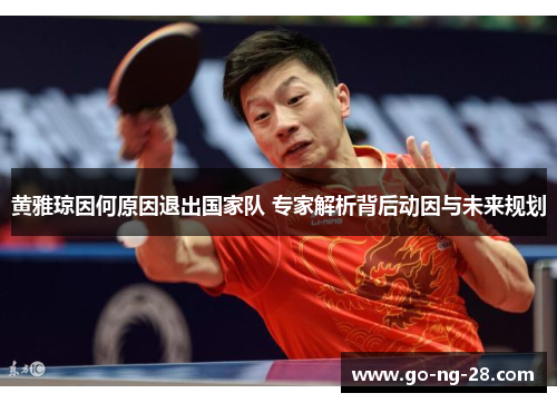 黄雅琼因何原因退出国家队 专家解析背后动因与未来规划