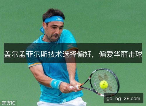 盖尔孟菲尔斯技术选择偏好，偏爱华丽击球